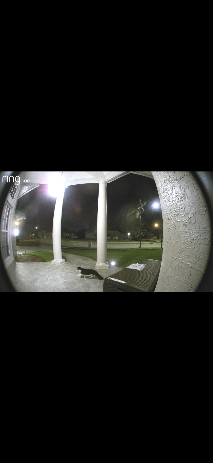 9C3D363E-E3DF-4B29-9EC3-0C7A62522EC9